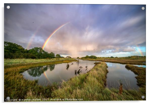 Swallows, Rainbows and Reflections Acrylic by matthew  mallett
