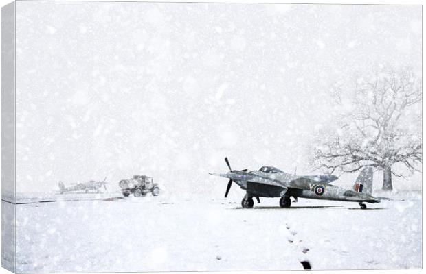 Mosquito In The Snow Canvas Print by J Biggadike