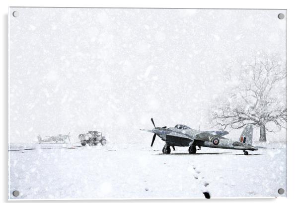 Mosquito In The Snow Acrylic by J Biggadike