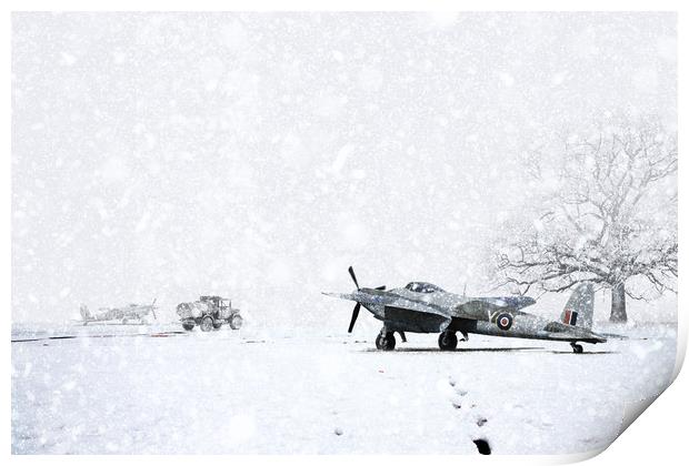 Mosquito In The Snow Print by J Biggadike