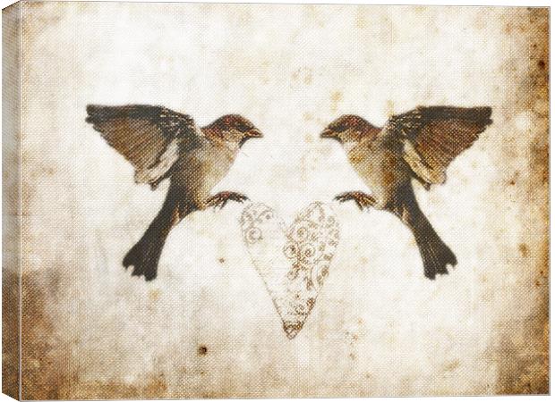 Common Sparrow Love Canvas Print by K. Appleseed.