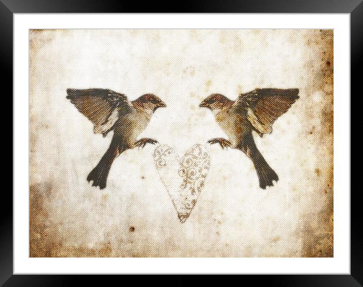 Common Sparrow Love Framed Mounted Print by K. Appleseed.