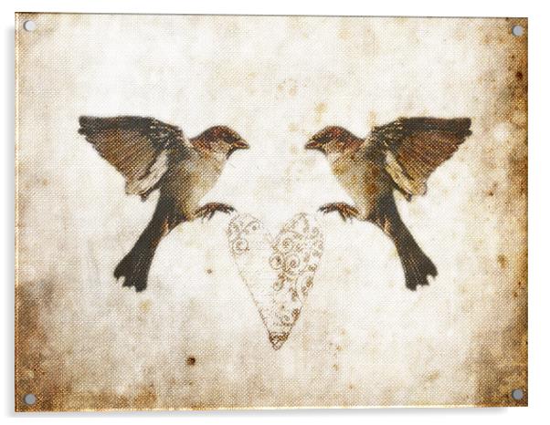Common Sparrow Love Acrylic by K. Appleseed.