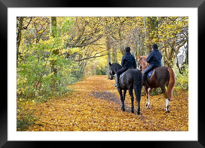 Autumn on Horseback Framed Mounted Print by Eddie Howland