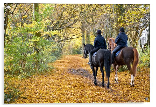 Autumn on Horseback Acrylic by Eddie Howland