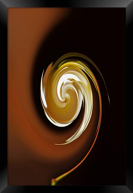 Caramel Swirl Framed Print by Donna Collett