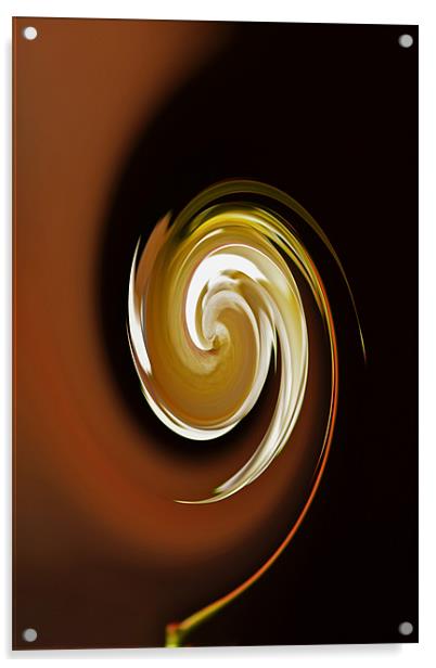 Caramel Swirl Acrylic by Donna Collett