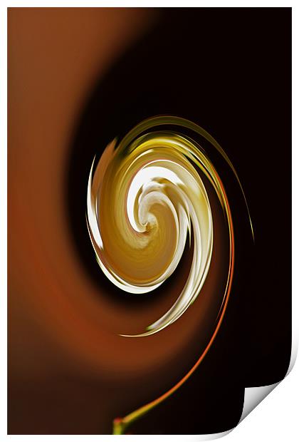 Caramel Swirl Print by Donna Collett