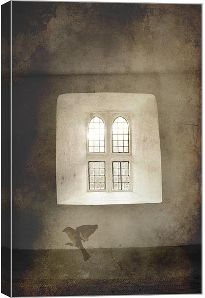 Cry for freedom, bird and window Canvas Print by K. Appleseed.