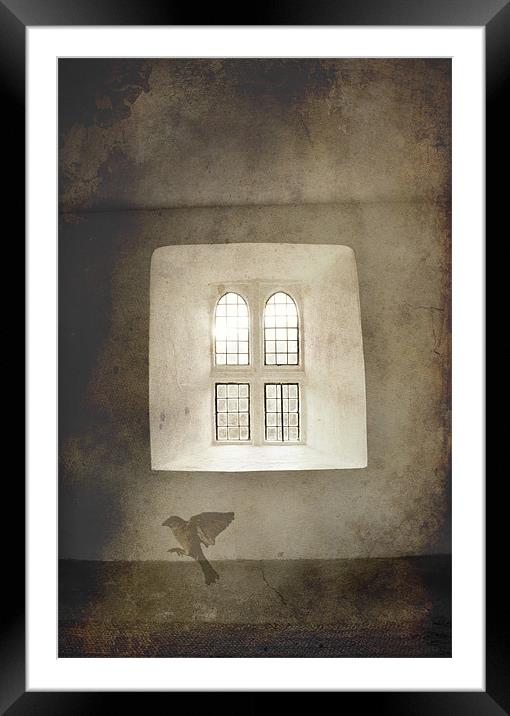 Cry for freedom, bird and window Framed Mounted Print by K. Appleseed.