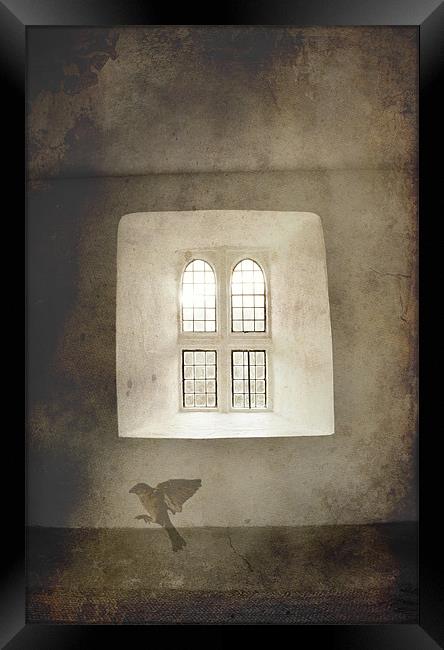 Cry for freedom, bird and window Framed Print by K. Appleseed.