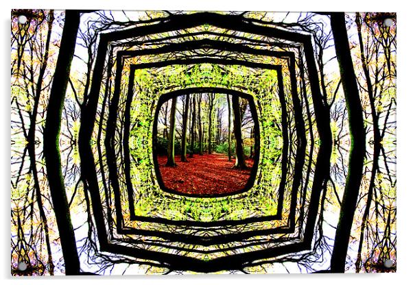Framed Woodland Acrylic by Ian Jeffrey