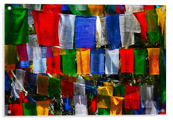 Prayer Flags Acrylic by Neil Gavin