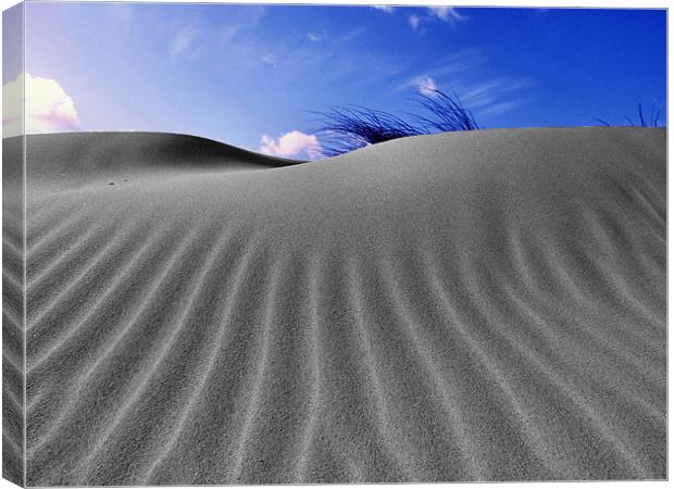 Norfolk Sand Dunes Canvas Print by Paul Haines