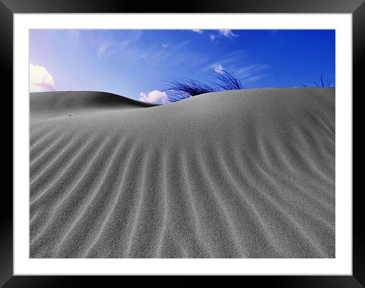 Norfolk Sand Dunes Framed Mounted Print by Paul Haines