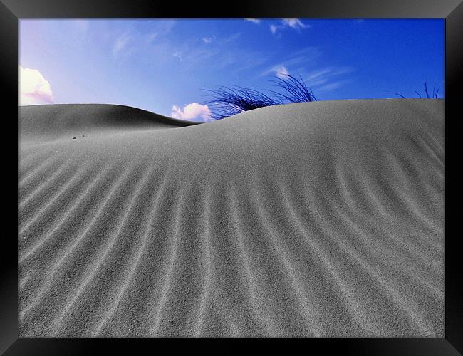 Norfolk Sand Dunes Framed Print by Paul Haines