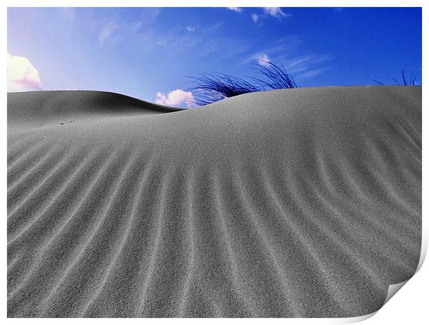 Norfolk Sand Dunes Print by Paul Haines