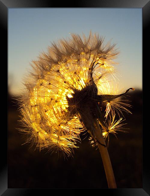 The Dying Sun Framed Print by Mark Hobson