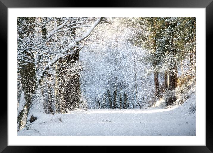 Snow on the Chase Framed Mounted Print by Ann Garrett