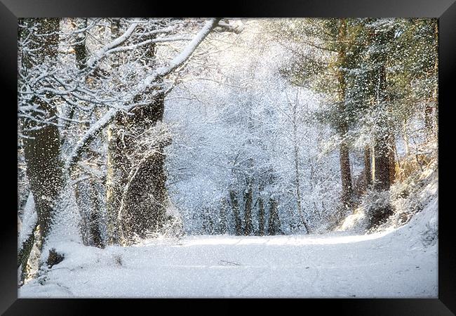 Snow on the Chase Framed Print by Ann Garrett