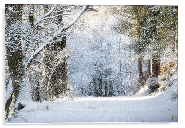 Snow on the Chase Acrylic by Ann Garrett
