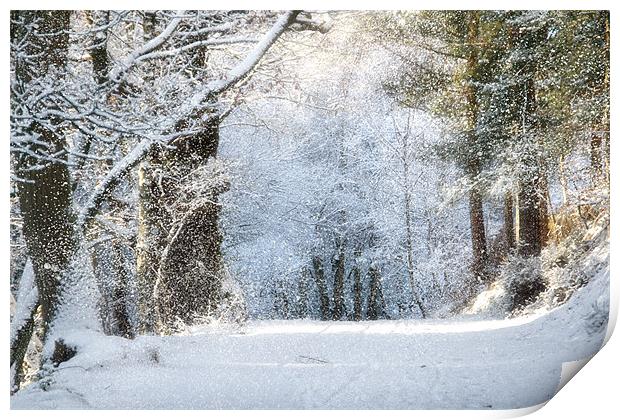 Snow on the Chase Print by Ann Garrett