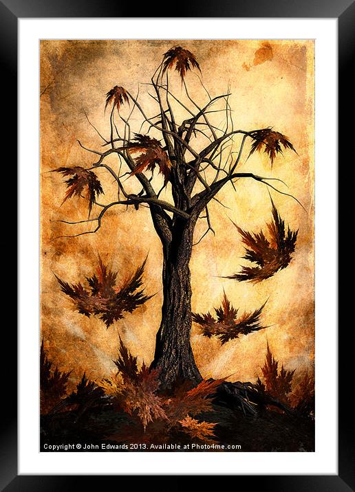 The song of Autumn Framed Mounted Print by John Edwards