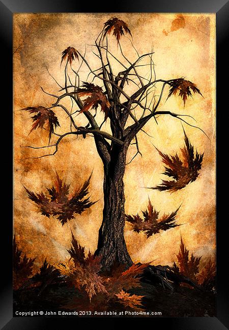 The song of Autumn Framed Print by John Edwards