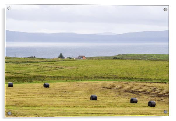 Remote House and Hay Bales on the Isle Of Skye Acrylic by Maarten D'Haese