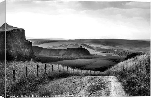 Old Quarry Canvas Print by Chris Horsnell