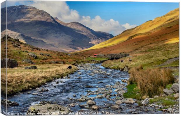 Honister Pass Canvas Print by Chris Horsnell