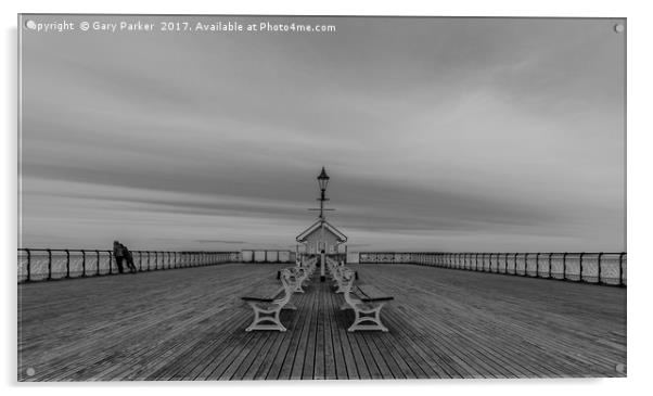 Penarth Pier in black and white Acrylic by Gary Parker