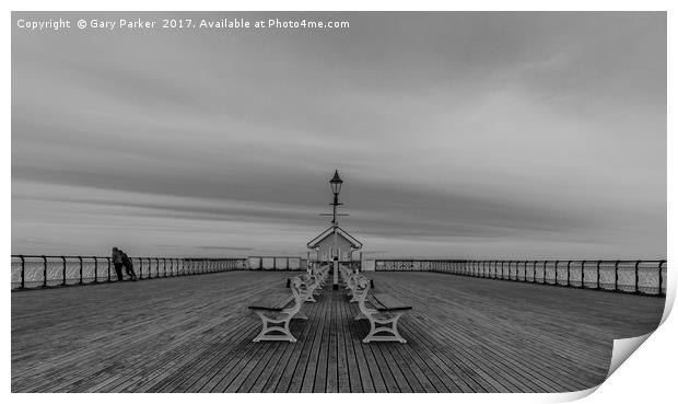 Penarth Pier in black and white Print by Gary Parker