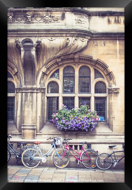 Bicycles in Oxford Framed Print by Angela Bragato