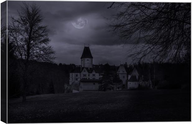 Old austrian castle in mystery moonlight. Canvas Print by Sergey Fedoskin