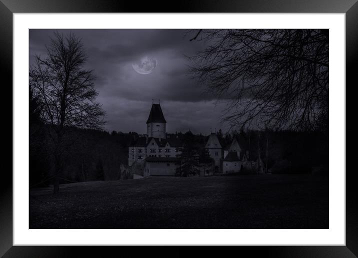 Old austrian castle in mystery moonlight. Framed Mounted Print by Sergey Fedoskin