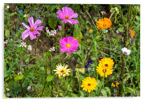 Colorful Flowers in Field Acrylic by Arterra 