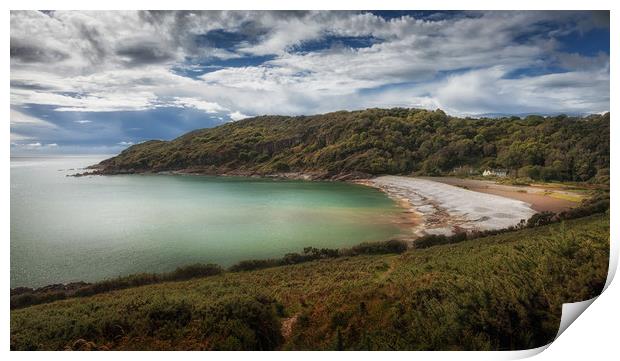 Pwll Du Bay Gower Print by Leighton Collins