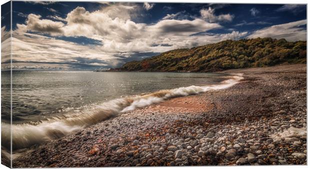 Pwll Du Bay Gower peninsula Canvas Print by Leighton Collins