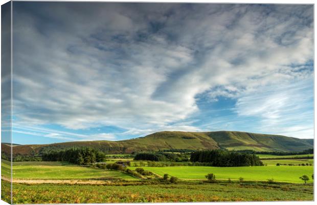 Fan Frynach Hill in the Central Brecon Beacons Canvas Print by Nick Jenkins