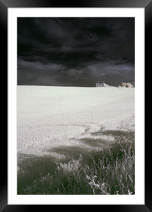 NA Valdorcia grass Framed Mounted Print by luciano luddi