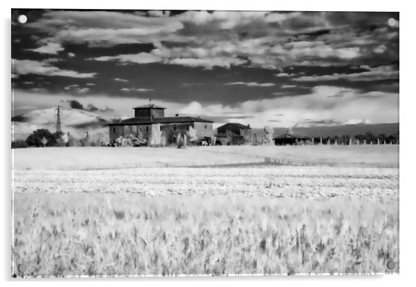 NA Rural house in Tuscany Acrylic by luciano luddi