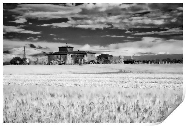 NA Rural house in Tuscany Print by luciano luddi