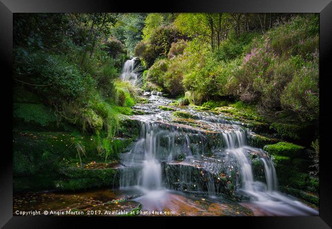 Middle Black Clough Falls Framed Print by Angie Morton