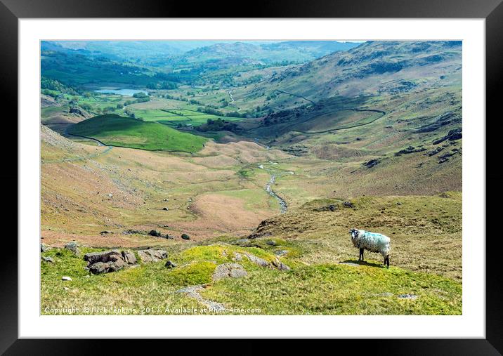Looking towards Little Langdale from Wrynose Pass  Framed Mounted Print by Nick Jenkins