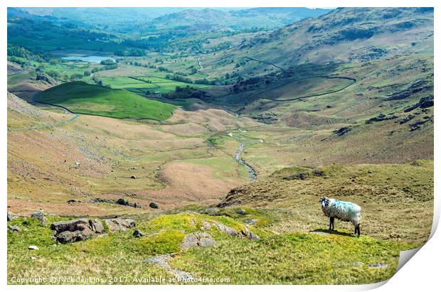 Looking towards Little Langdale from Wrynose Pass  Print by Nick Jenkins