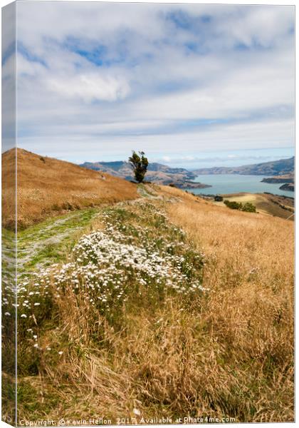 Grass and wild flowers on a hill overlooking the n Canvas Print by Kevin Hellon