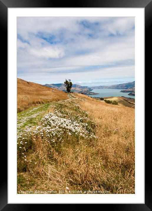 Grass and wild flowers on a hill overlooking the n Framed Mounted Print by Kevin Hellon
