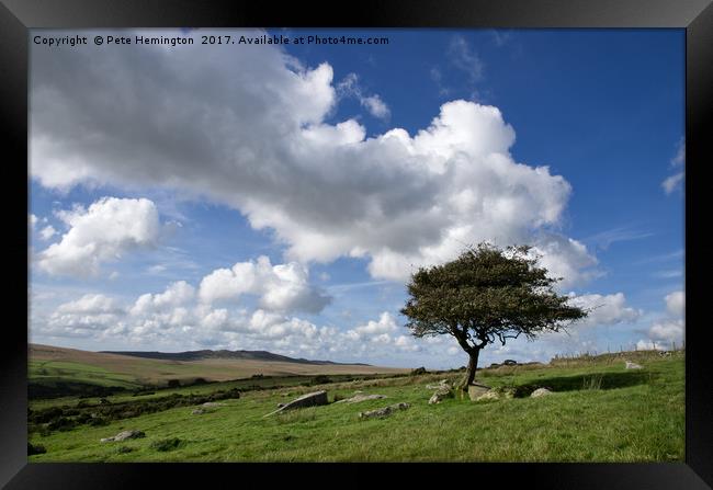Lone tree on Bodmin Moor Framed Print by Pete Hemington