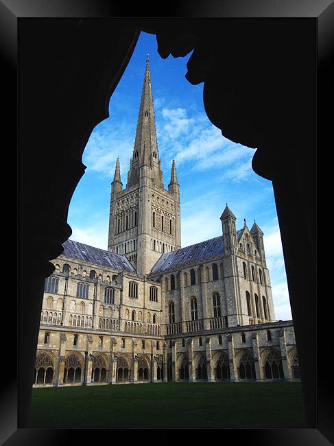 Norwich Cathedral from the Cloisters Framed Print by Darren Burroughs